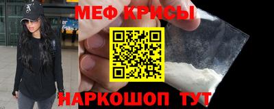 стаф Кингисепп