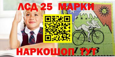 стаф Кингисепп