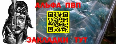 стаф Кингисепп