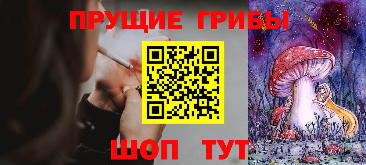 Псилоцибиновые грибы прущие грибы Арсеньев