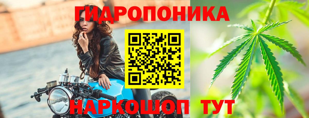 Бошки марихуана конопля Арсеньев